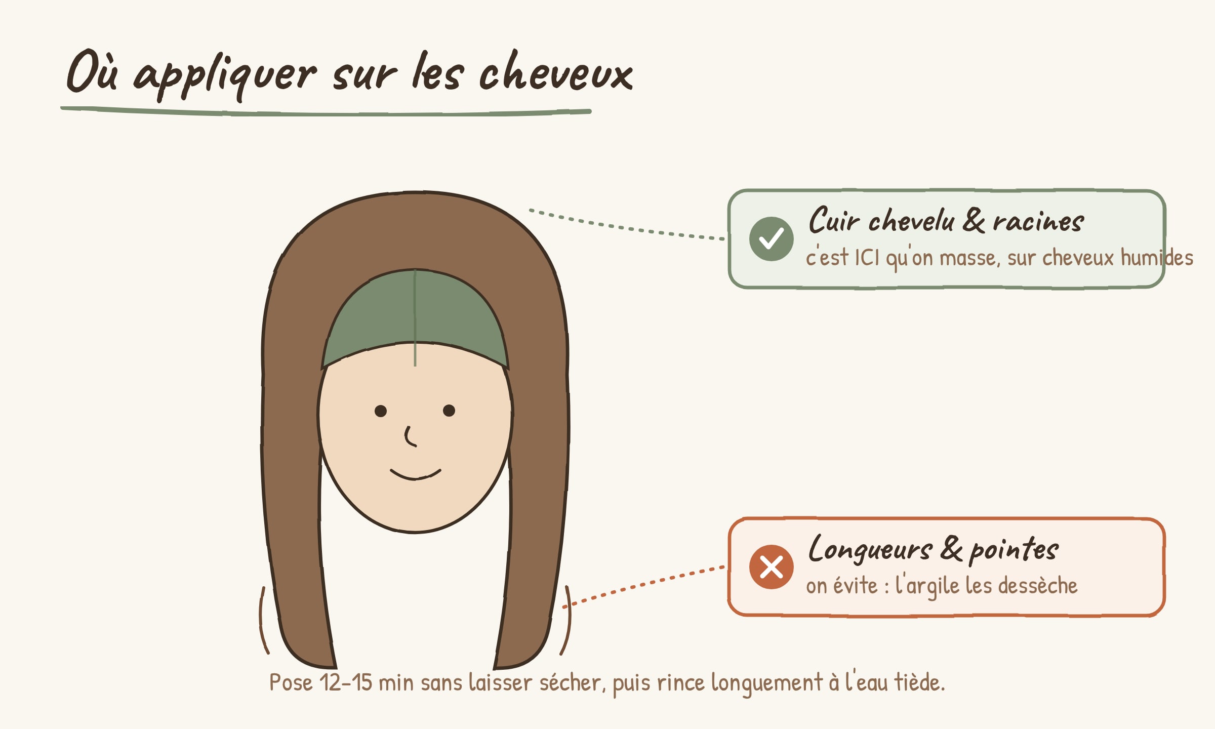 Schéma des zones d'application du masque à l'argile sur les cheveux : cuir chevelu et racines oui, longueurs sèches non
